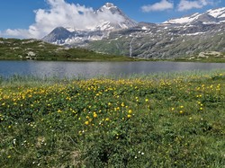 Journée Bénévoles - Jour 1