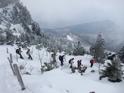 l'Alpette de Marcieu