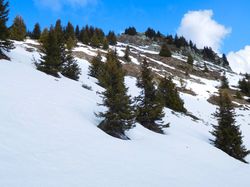 L’Antécime du Grand Mas