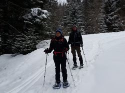La batterie de Roche Brune ( Hurtières)