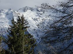 La batterie de Rochebrune