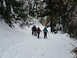 La Batterie de RocheBrune ( Hurtières )