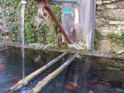 la boucle des Mollettes 07/12/2016