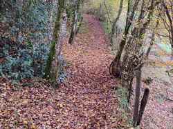 La boucle du Follaton (Dullin)