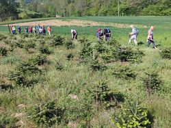 La boucle du grand bois (avant pays savoyard)