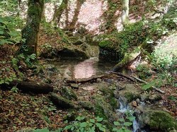 La cascade des Dioux