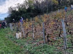 La cascade du Pichut
