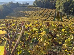 La cascade du Pichut