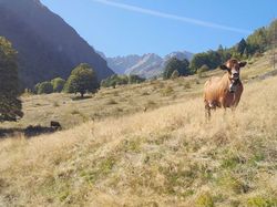 La cave de la combe rousse