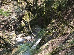 La chapelle Maillée