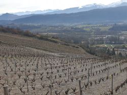 la chapelle Maillée