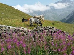 La Combe des aiguilles d'Arves