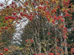La Croix des Bergers par les Creusates