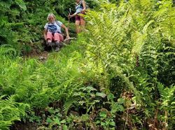 La croix du Léat par Pierre Pin