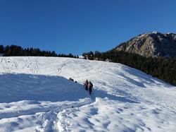 La croix du Roy (Bauges)