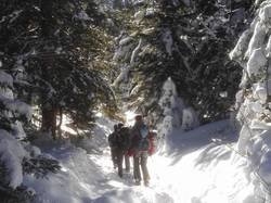 La croix du Roy (Bauges)