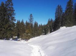 La croix du Roy (Bauges)