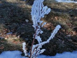 La Cula (Massif des Bauges)