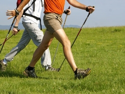 La forêt des Marches