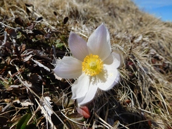 La montagne de la Faverge ( Beaufortain )