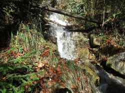 La plaine de Dran (Bornes)