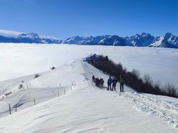 La prairie de Montaimont