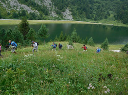 La réserve du Plan de Tuéda