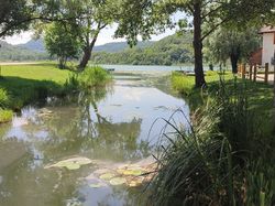 Lac de Barterand (Ain)