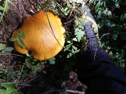 Lac de la Partie ( Haute Maurienne)