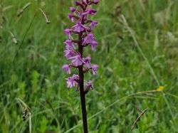 Lac de la Thuile par le Mollard d'Oua