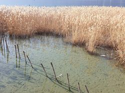 Lac du Bourget par les Mottets