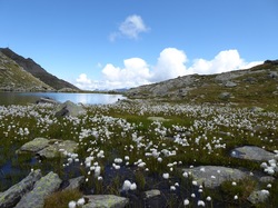 Lacs de Montfiot ( Tarentaise )