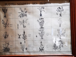 Le 4ème jour (Jura)