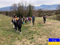 Le bois du château des Marches