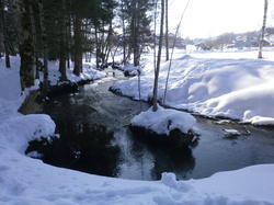 Le Bourget en huile-le Pontet