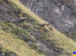 2024.09.24-Le chalet des gardes - Jarsy
