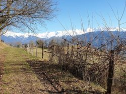 Le Chapeau Montbenoît