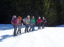 Le Chard du Beurre(Baufortain)