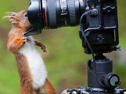Le chemin de la digue de l'Isère