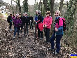 Le chemin du philosophe