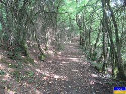 Le circuits des Sarrazins (Bugey)