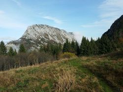 Le Crêt du Char (Bauges)