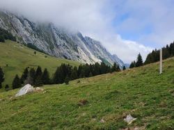 Le Crêt du Char et le col de la Frasse (Bauges)