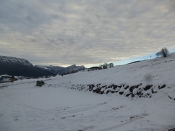 Le Grand Carroz,10 janvier