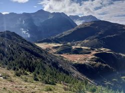 2024.10.24 Le Grand Chat