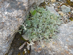 Le Grand Méan samedi (séjour glaciologie)