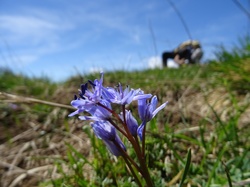 Le Grand Roc ( Bauges )
