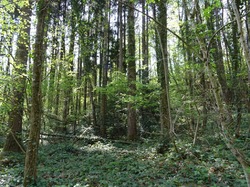 Le hameau de La Cuiller.