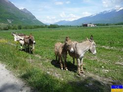 Le long de la Bialle jusqu'au lac de Grésy