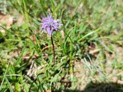 Le Margériaz : sentier des Tannes et des Glacières